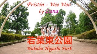 Pristin  Wee Woo Wakaba Higashi Park Cover by【上智大学Luna】 [upl. by Roon933]