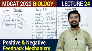 Feedback Mechanism MDCAT 2023  Negative Feedback Mechanism  Positive Feedback Mechanism [upl. by Ahcilef]