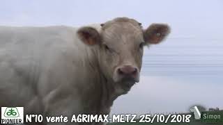 LOT 10  Vente Agrimax à Metz  25 octobre 2018  Simon Genetic [upl. by Avirt]