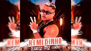 Remedinho  Guga Na Voz  Remix Brega Funk  O Mais Original [upl. by Jemine585]