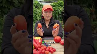 Super Disease Resistant Galahad amp Granadero Tomato Review [upl. by Parks]