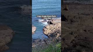 Cape Arago State Park [upl. by Massimo]