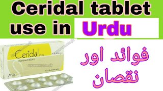 Ceridal 10mg Tablet use in UrduHindi  technical and medical information  Ceridal tab side effect [upl. by Chin]