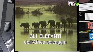 GLI ELEFANTI dellAfrica selvaggia [upl. by Etna]