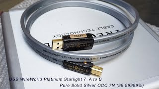 Wireworld Platinum 7 USB A to B  Solid Silver OCC 7N 9999999 [upl. by Garek]