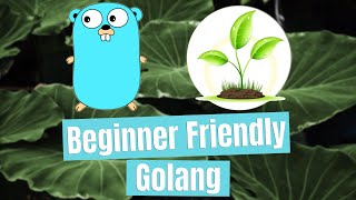 Interfaces  Beginner Friendly Golang [upl. by Merriman]