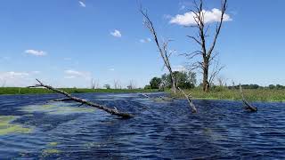 Kayaking the Scuppernong River in Wisconsin [upl. by Oswell]