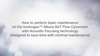 Invitrogen Attune NxT Maintenance [upl. by Marco]