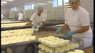 Camembert  la fabrication [upl. by Aynuat]