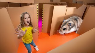 Nastya and the hamsters escape from the cardboard maze [upl. by Yunick94]