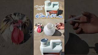 Treatment of Sick Birds at Home  How to Deworm Poultry Birds  Ezole Drench  Dr ARSHAD [upl. by Darrin698]