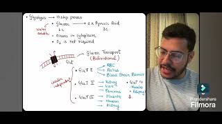 MBBS 1st Year Biochemistry Lecture 1 Glycolysis [upl. by Tommie784]