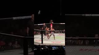 Francis Ngannou KO Alistair Overeem [upl. by Sauls786]