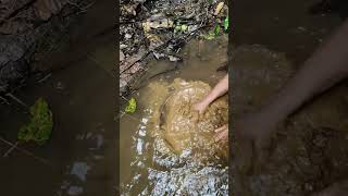 Wow😱😱😱😱Discovery of gold in rusty materialsfypmininggold lookingforgold panningforgold [upl. by Isle]