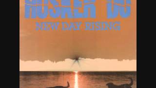 Hüsker Dü  New Day Rising LP [upl. by Joline661]