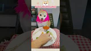 Dog Food Every Day 🐶 Ep76 cutedog mukbang asmr foodshorts relaxing [upl. by Namhar]