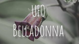 UFO  Belladonna Subtitulado EspañolInglés [upl. by Yerffoj]