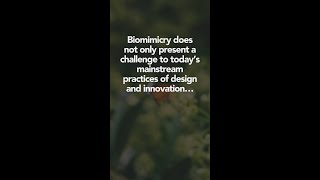 Biomimicry and Philosophy [upl. by Barbi]