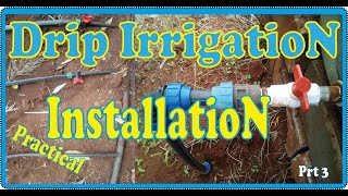 Drip Irrigation Installation PRACTICAL [upl. by Selina]