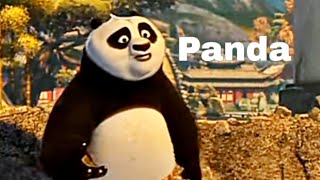 Panda and tiger fighting action Assamese language panda clips BGVlogn2t [upl. by Trefor]