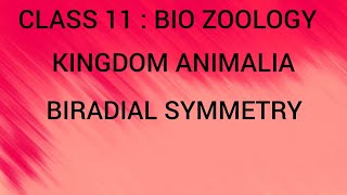 Biradial Symmetry  Kingdom Animalia  Class 11  Bio Zoology  Tamil [upl. by Eahsram]