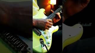 HOTEL CALIFORNIA  Eagles guitarsolo [upl. by Nosnev]