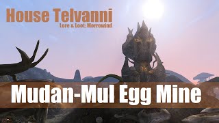 Lore amp Loot Morrowind  House Telvanni MudanMul Egg Mine [upl. by Wiener694]