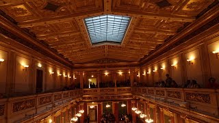 Musikverein Vienna [upl. by Kussell590]