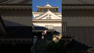 okazaki castle aichi japan [upl. by Noyerb55]