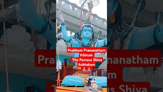 1Prabhum Prananatham Vibhum Shiva Ashtakamshiva shivmantra shivshankar shiv trending viral [upl. by Peer]