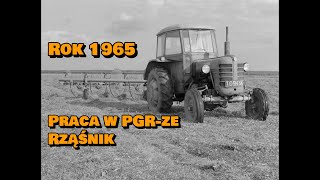 quotNa łąkach PGR Rząśnikquot 1965 CAŁY FILM [upl. by Faustina]