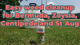 Easy broadleaf and grassy weed clean up using Celsius WG  Bermuda Centipede Zoysia St Augustine [upl. by Paxon]