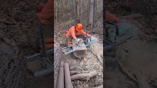 Alaskan Chainsaw Mill on heavy black walnut tree chainsaw demo [upl. by Pretrice680]