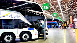 Ônibus Bonitos dominando o terminal Tietê SP [upl. by Ynaffat]