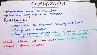 Clindamycin linezolid and streptogramins narrow spectrum bacterial protein synthesis inhibitors [upl. by Yetnom]