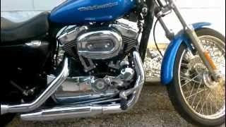 2004 Stock Harley Sportster Custom XL 1200 C [upl. by Sisson]