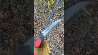 CORONA Pruning saw 👍👍 pruning saws [upl. by Nohsid]