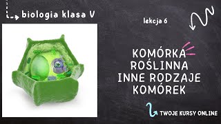 Biologia klasa 5 Lekcja 6  Komórka roślinna i inne rodzaje komórek [upl. by Marvel843]