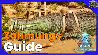 DEINOSUCHUS ZÄHMEN amp NUTZEN  Taming in Ark  Ark Survival Ascended [upl. by Nitz]