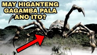 TOP 10 MALAKING GAGAMBA SA BUONG MUNDO  NAKAKAPANINDIG BALAHIBO [upl. by Haikezeh]