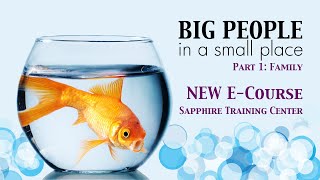 Big People in a Small Place  New Sapphire Training Center ECourse [upl. by Ajax861]