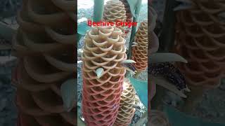 Zingiber spectabile  Beehive Ginger FLOWER [upl. by Nuawad928]