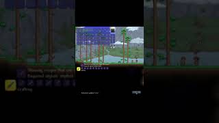 Instant Zenith Glitch  Terraria [upl. by Adnalor]