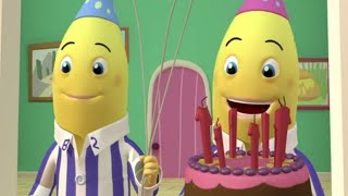 Party Time Compilation  Full Episodes  Bananas in Pyjamas Official [upl. by Reerg614]