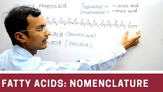 Nomenclature of Fatty acid [upl. by Dielu920]