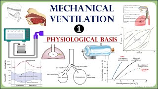 Mechanical Ventilation physiology  Lung mechanics compliance and resistance [upl. by Aydidey]