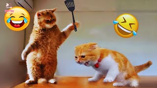 Best Funny Animals 2024 😂 Funniest Dogs and Cats Videos 😻🐶 part 87 [upl. by Carolynne]