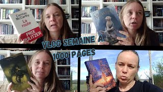 VLOG DU 14 au 22 octobre 2024 📃 [upl. by Asik]