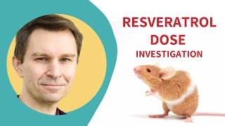 How RESVERATROL affects your heart  Low Dose Resveratrol Study [upl. by Torrin]