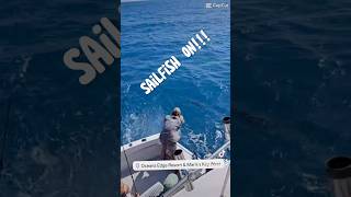 Sailfish Season in Key West – Cowboy Cowgirl Sportfishing on the Hunt [upl. by Ahsiugal405]